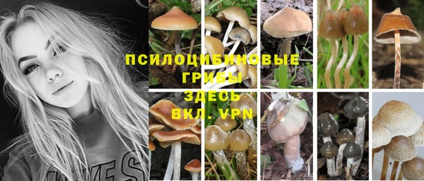 марки nbome Пересвет