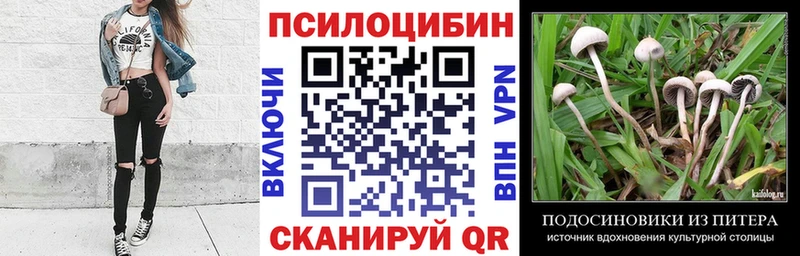 Галлюциногенные грибы Psilocybine cubensis  Бирюсинск 